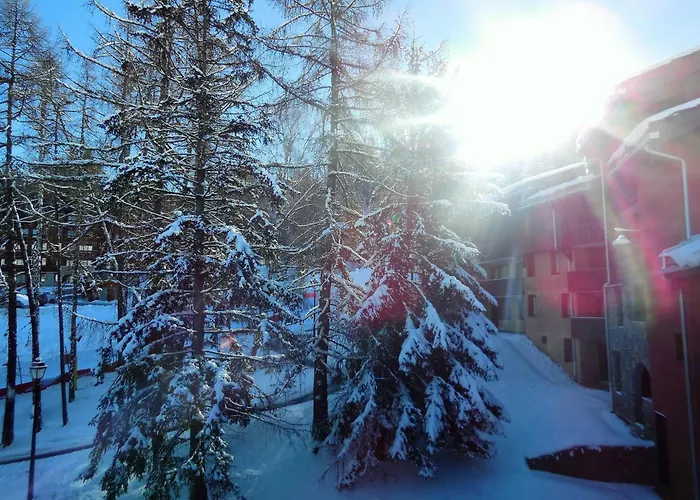 Duplex 6 Pers Avec Balcon Aux Coches, Proche Pistes Et Commerces - Fr-1-353-5 La Plagne