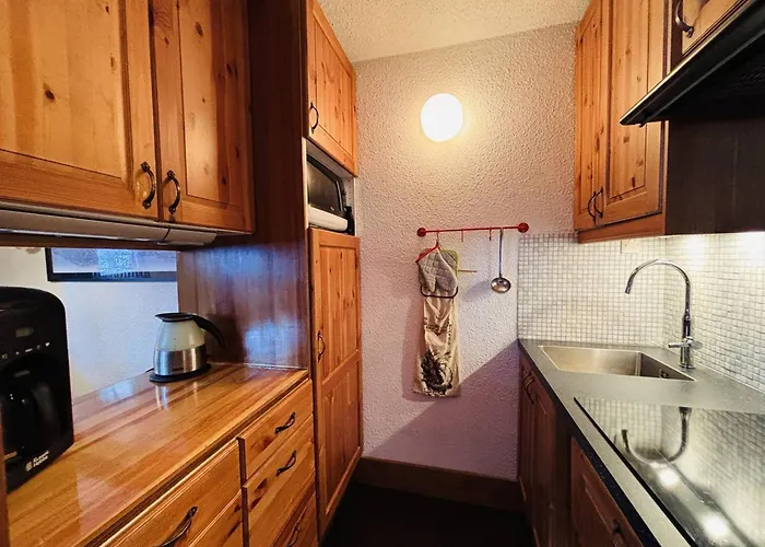 Duplex 6 Pers Avec Balcon Aux Coches, Proche Pistes Et Commerces - Fr-1-353-5 * La Plagne